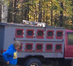 Maggie and her Dog Truck and the Stocks on the top