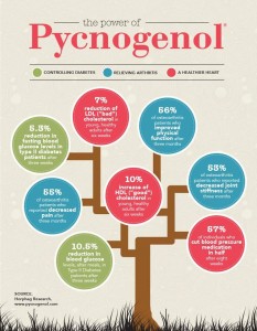 Pycnogenol Supplements