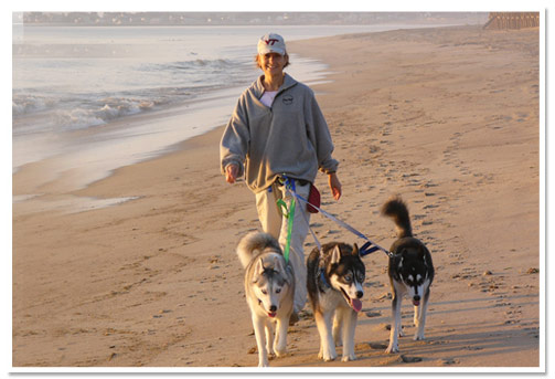 Linda Powers walking the huskies on the beach