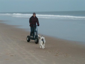 And here is Kaya on our first run. It was at the beach in Ocean City Maryland and we were both smitten!